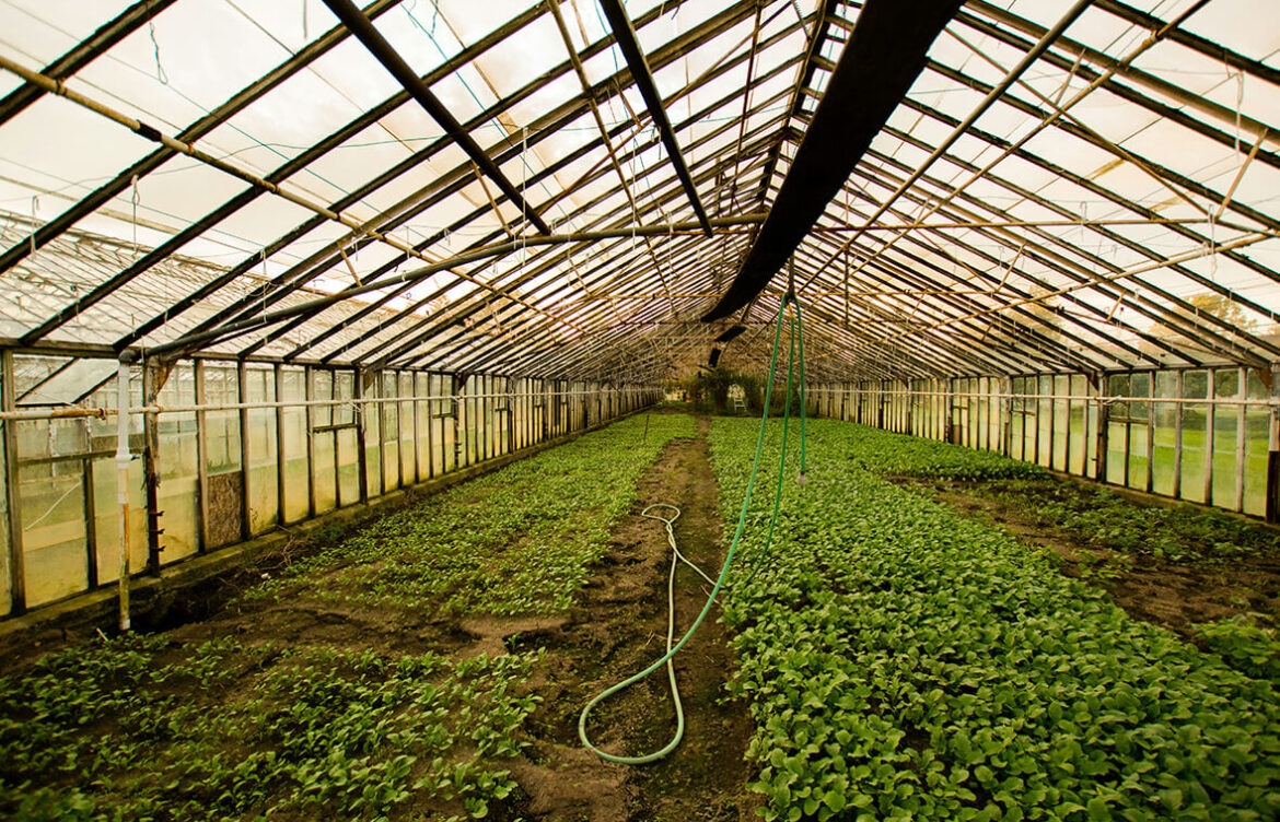 Enhancing Agricultural Productivity with Innovative Water Works
